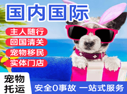 拉萨贡嘎机场空运国际宠物托运 【国
